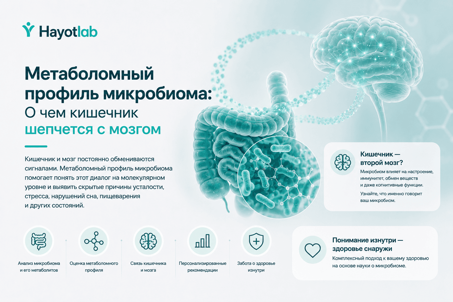 Метаболомный профиль микробиома: О чем кишечник шепчется с мозгом